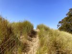 Ocean Dunes Retreat -  How beachy is this